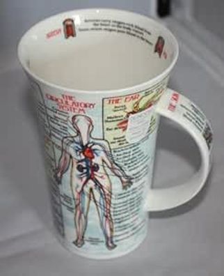 Groer Becher Glencoe Bodyworks