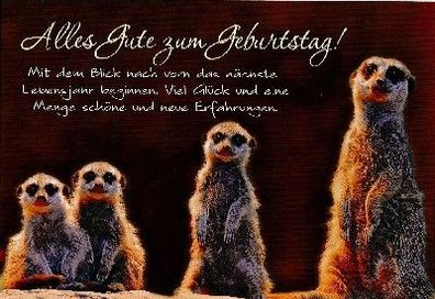 Cartolini Klappkarte mit Spruechen 037 Geburtstagskarte