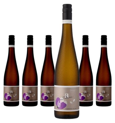 6 x Diehl Cabernet Blanc trocken – 2023