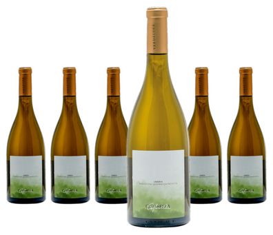 6 x Famiglia Cotarella Rocciapiana Chardonnay – 2024