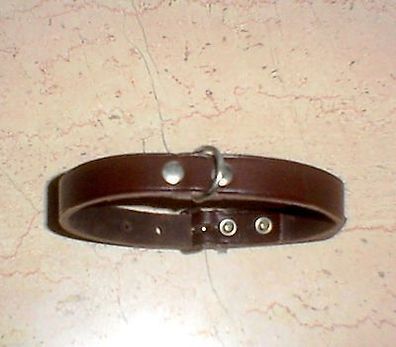 D1023 Hunde - Leder- Halsband dunkelbraun Länge ca. 460mm, Breite ca. 20mm