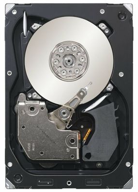 Seagate Cheetah 15K ST3300657SS - Festplatte - 300 GB - intern - 3.5" (8.9 cm)