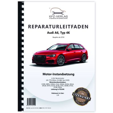 Audi A6 Typ 4K ab 2018 Instandsetzung 4-Zyl. 2,0l Benzinmotor Reparaturanleitung