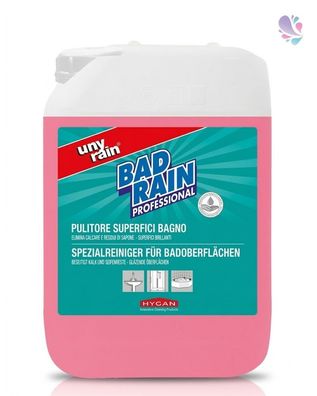 Saurer Profi-Unterhaltsreiniger für Badoberflächen, 10l Kanister, sehr ergiebig, mate