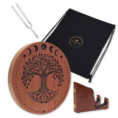 Meinl Sonic Energy Rain Disk 12 Zoll mit Stimmgabel