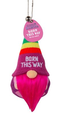 H&H Gluecksbringer Maskottchen-Ich bring Dir Glueck-Glueckswichtel Born This Way