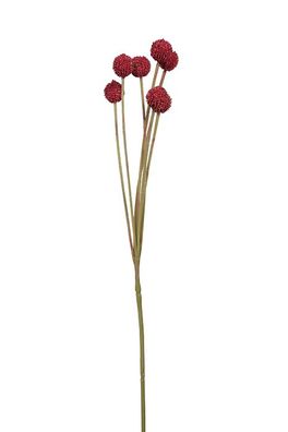 Fink Craspedia, Kunstblume, Kunstfasern, dunkelrot, L. 10 cm, B. 10 cm, H. 60 cm
