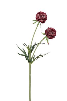 Fink Scabiosa, Kunstblume, Kunstfasern, dunkelrot, L. 10 cm, B. 10 cm, H. 55 cm