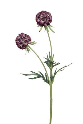 Fink Scabiosa, Kunstblume, Kunstfasern, lila, L. 10 cm, B. 10 cm, H. 55 cm 181004
