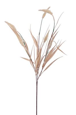 Fink GRAS, Kunstblume, Kunstfasern, creme, L. 1 cm, B. 1 cm, H. 65 cm 185011