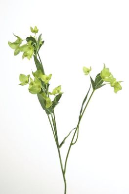 Fink Waxblume, Kunstblume, Kunstfasern, grün, L. 64 cm 181837