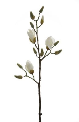 Fink Magnolienzweig, Kunstblume, Kunstfasern, weiß, L. 82 cm 183186