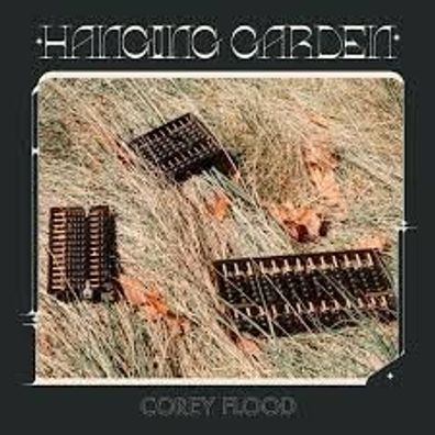 COREY FLOOD = Hanging Gard = VINYL LP ALBUM = POST PUNK Krautrock Eletronica