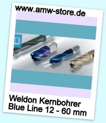 HSS Kernbohrer Blue Line Weldon 12 - 45 mm Schnitttiefe 30mm HSS XE Kernlochbohrer