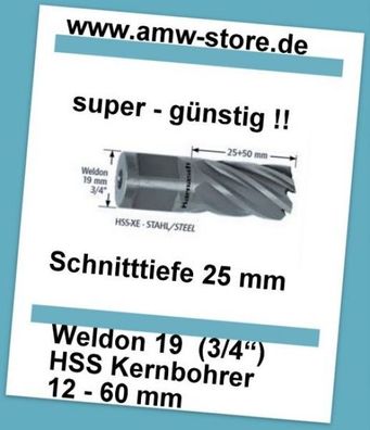 HSS Kernbohrer Weldon 12 bis 60mm Schnitttiefe 25mm HSS XE Kernlochbohrer