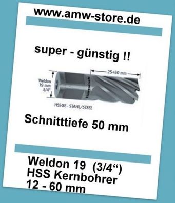 HSS Kernbohrer Weldon Universal 12 bis 60mm Schnitttiefe 50mm HSS Kernlochbohrer
