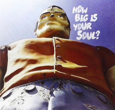 DEAD SHRIMP = How Big Is Your Soul = VINYL LP ALBUM = DELTA BLUES