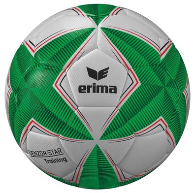 10 Stück Erima Senzor-Star Lite Gr. 4 350 g Trainingsball Grün - Weiss