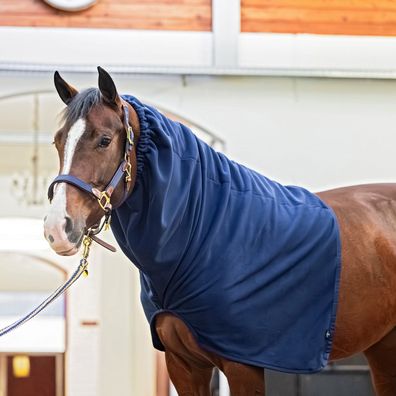 EQuest Fleece Halsteil für Pferdedecken, Navy - S/M