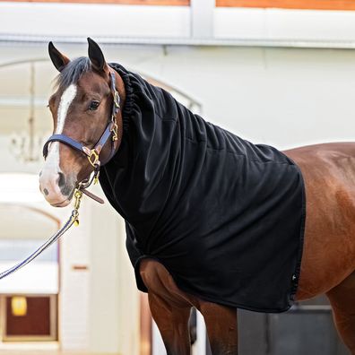 EQuest Fleece Halsteil für Pferdedecken, Schwarz - L/XL