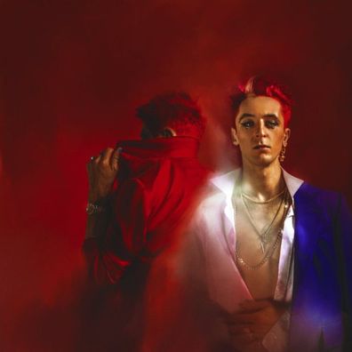 DENIS SULTA = Aye Spoake Te Sumwuhn & They Listenhd = 2 VINYL LP = TECHNO HOUSE