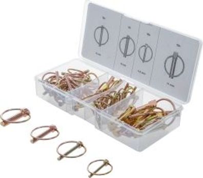 BGS technic - Klappsplinte-Sortiment | 50-tlg