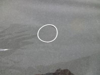 Stétzring aus PTFE virginal