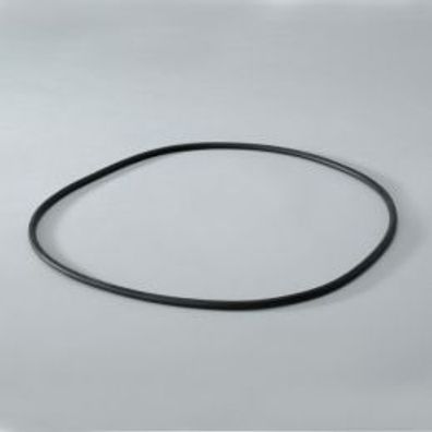 Gasket, Body Or Cup - Donaldson