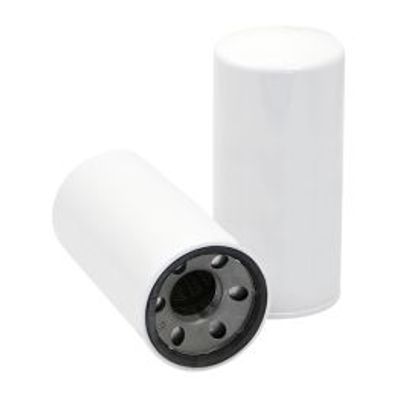 Zapfsäulenfilter - Ersatzfilter - Particulate | 10M | 100 L/min. (passender Filt