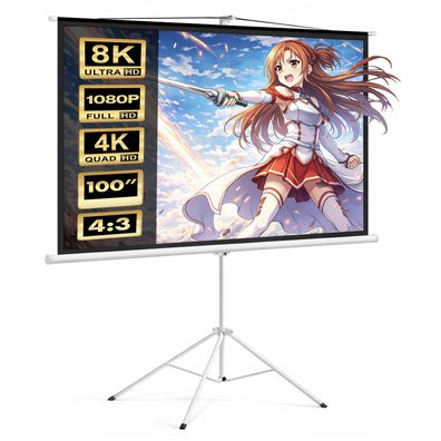 Mobile Leinwand Beamerleinwand Projektor Heimkino Stativ 100" 4:3 200x150cm