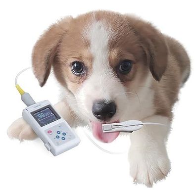 GIMA OXY-50 Veterinär Pulsoximeter mit Software