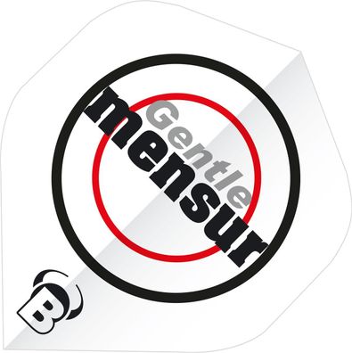 BULL'S B-Star Flights / 12 Satz / A-Standard