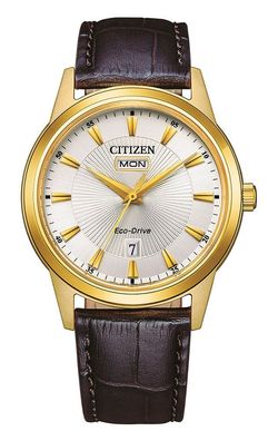 Citizen Herrenuhr EcoDrive AW0102-13AE