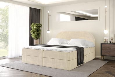 Boxspringbett mit Matratze, Boxbett, Topper, Polsterbett mit Bettkasten NOX