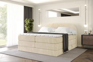Boxspringbett mit Matratze, Topper, Polsterbett mit Bettkasten NOX KING