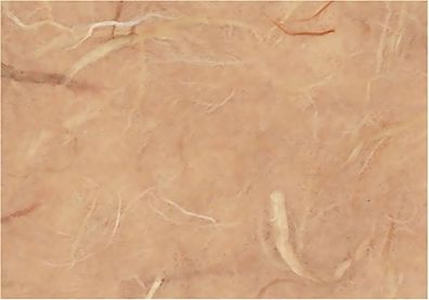 KNORR-PRANDELL Faserseide 50x70cm sahara 211602636