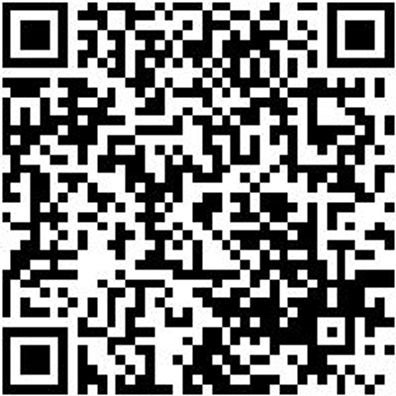 Abrollsystem Schleifpapier Abrollsys-Shlfpap-3Rollen