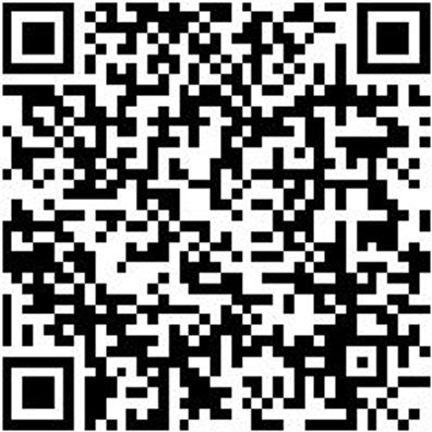 Abzieher Scheibenwischer Sortiment/Set Abzi-Shbwisch-Sort-3Tlg