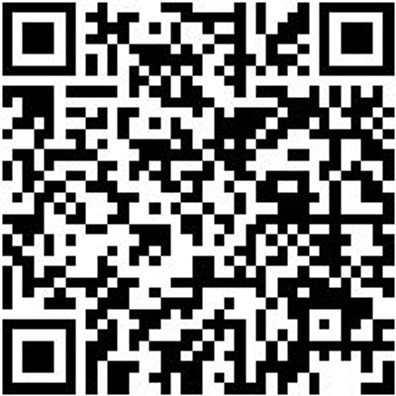 Arbeitshose Jeans Janus Blau/Grau 44