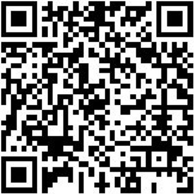 Arbeitshose Cargohose Urban Light Schwarz 66