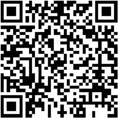 Arbeitshose Cargohose Urban Light Schwarz 62