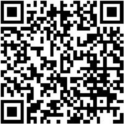 Arbeitslatzhose Latzhose Nature Schwarz 24