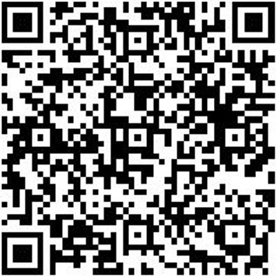 Hammerbohrer Sortiment/Set Bo-Ham-Sort-Plus-Duo-Sv-12Tlg