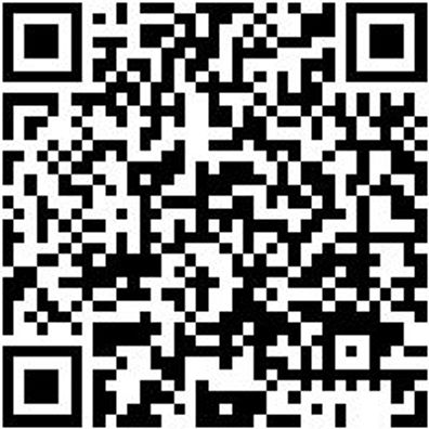 Injektor Werkzeug Gleithammer 9Kg, Rückschlagfrei