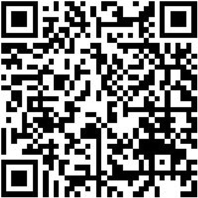 Kassette- Und Freilaufwerkzeug Kettpeitsch-L355Mm