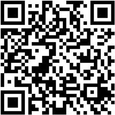 Kettenzange Kettrozang-340Mm