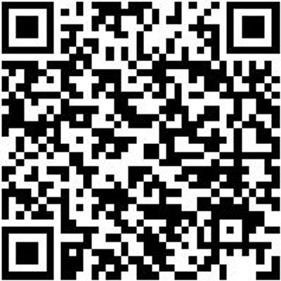 Klemmgripzange Klegrpzang-C-L170Mm