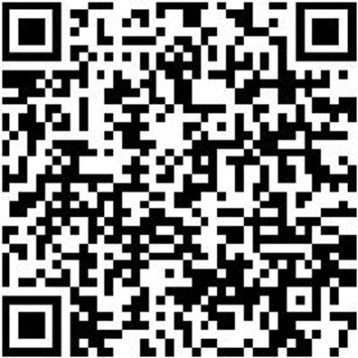 Hammerbohrer Sortiment/Set Bo-Ham-Sort-Plus-Ql-12Tlg