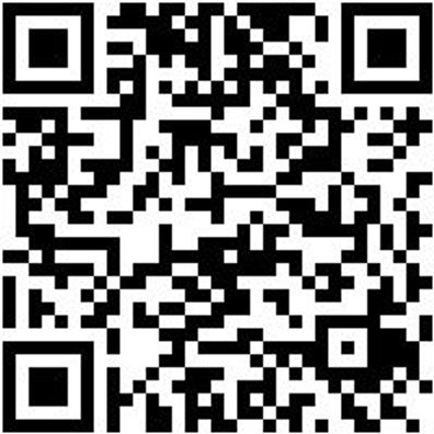 Koppelschloss Koppelschloss Zimmerer