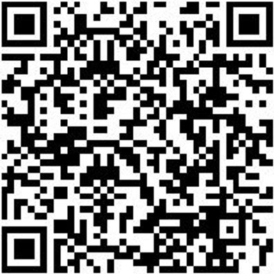 Hebelumschaltknarre 1/2 Zoll Hblknar-Umsch-1/2Zo-250Mm